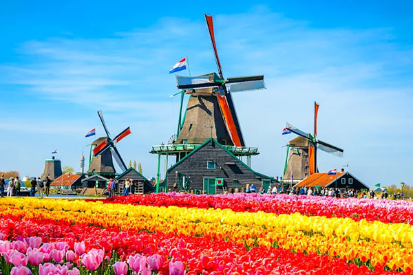 International Flight Royal Travellers_0008_9 Netherland